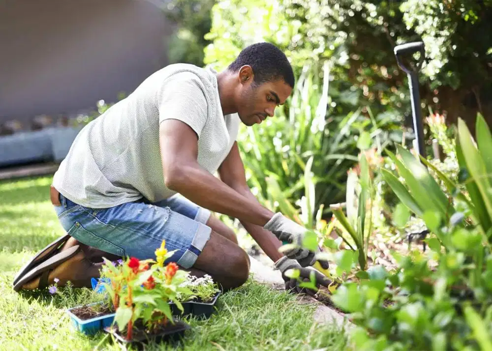 DIBUTUHKAN GARDENER