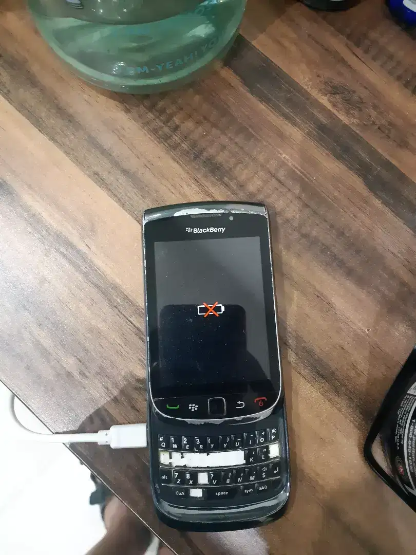 Blackberry torch