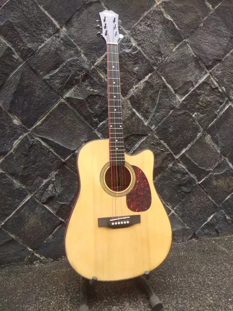 gitar sylark MAG-550CN