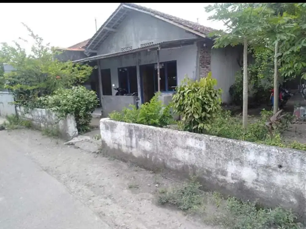 Jual Tanah di Sonopakis Dekat Kampus PGRI