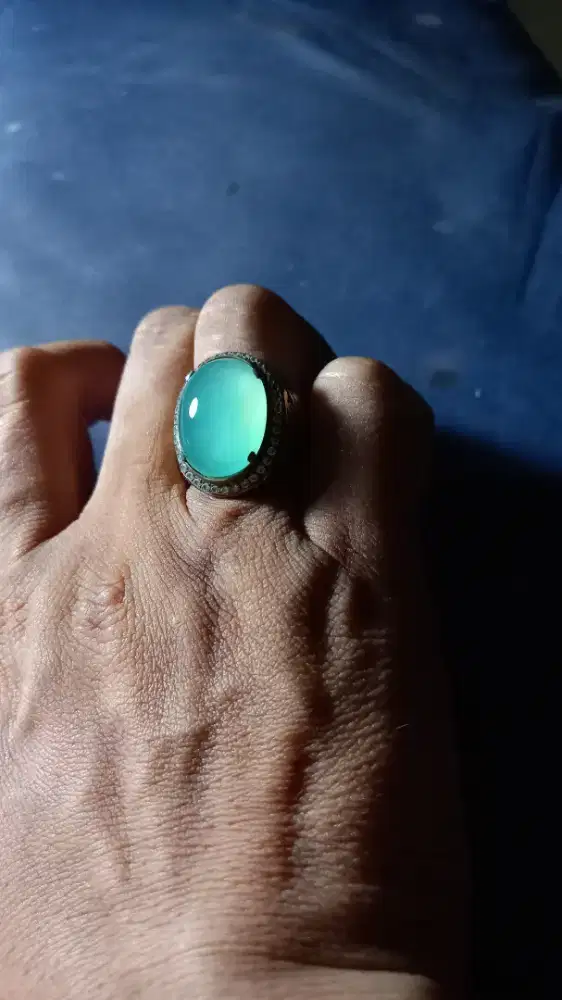 Bacan palamea fido HQ