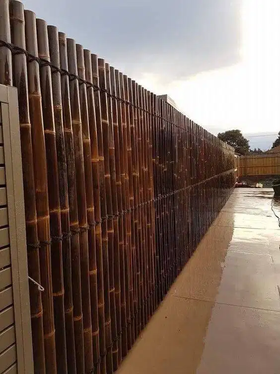 pagar bambu hitam awet