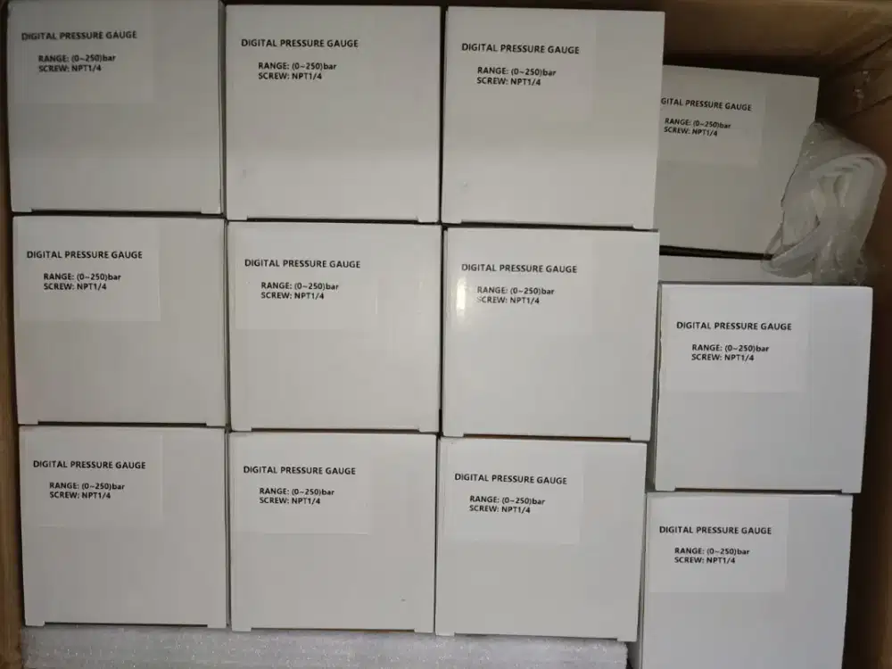 Pressure Gauge Digital Calibrator 0-250Bar 25MPa