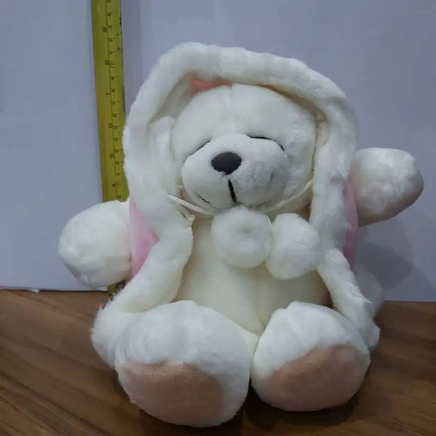 Boneka Preloved Beruang Hoodie (tinggi 21 cm)