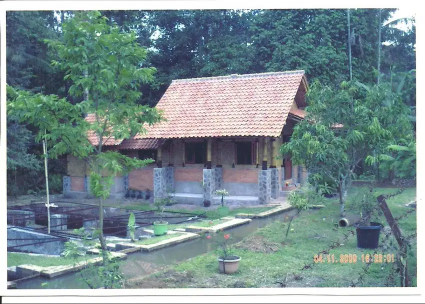 Rumah Bambu antik dengan Empang ikan dan Gazebo