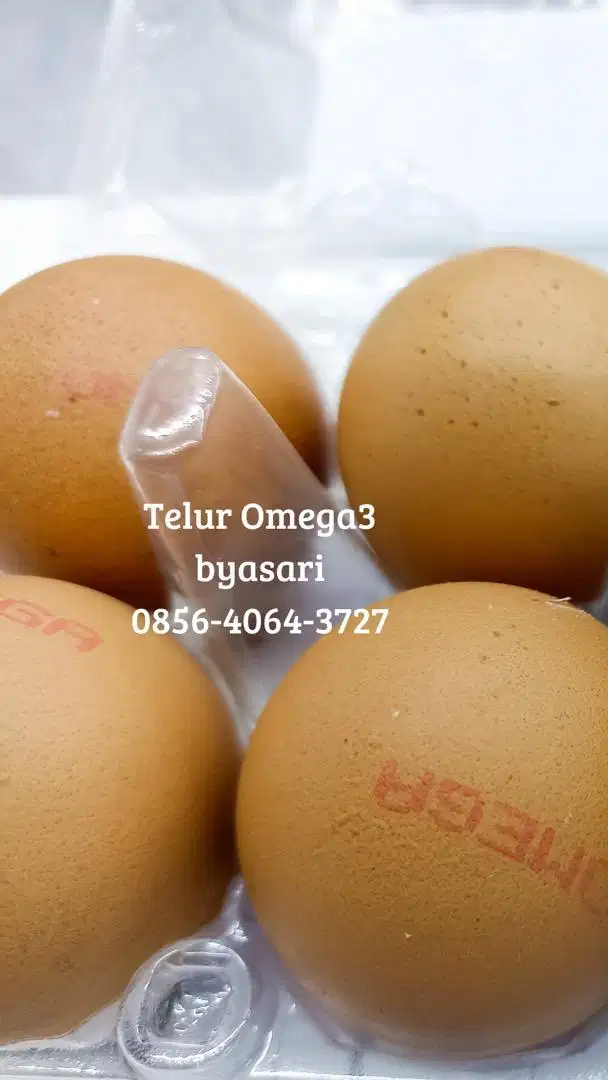 Telur Omega3 Fresh Bisa Beli Grosir