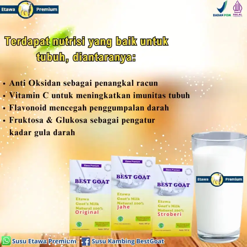 Susu kambing etawa premium