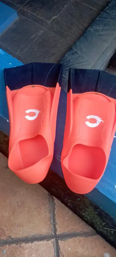 Sepatu Katak L, pakai 1 x