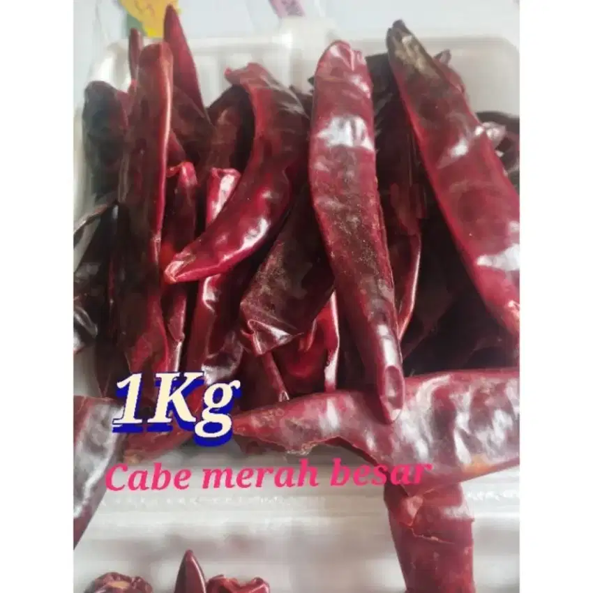 cabe besar utuh kering/lombok besar utuh kering