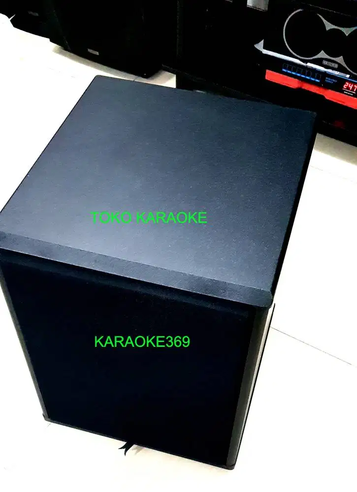 subwoofer karaoke 12