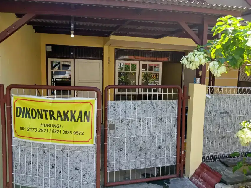 Disewakan rumah bagus daerah Rewwin