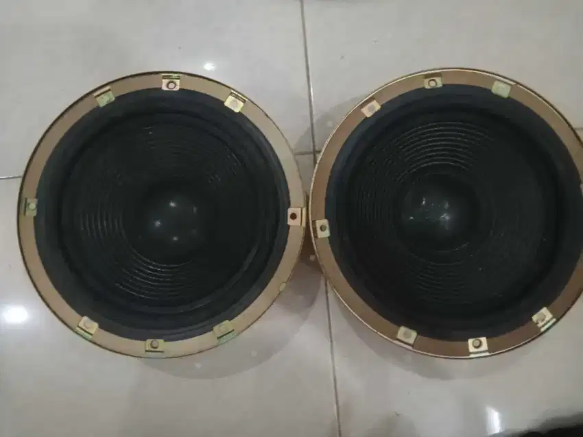 Jual Woofer 10 INCH Technics 25PL176C