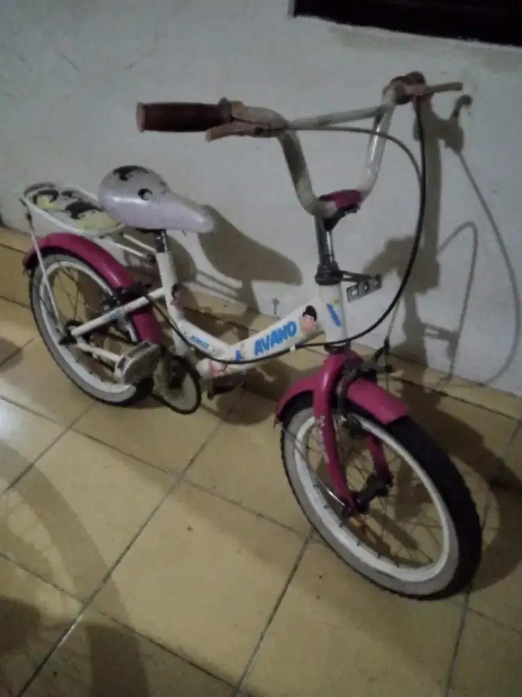 Sepeda anak 16 inchi