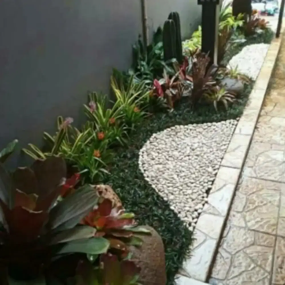 Aneka flora tukang taman murah