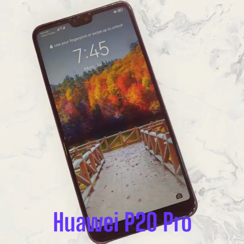 HUAWEI P20 Pro Resmi 2 Sim