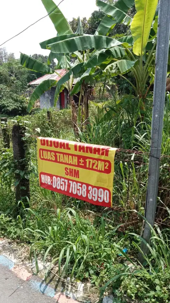 Tanah kebun kp nyalindung