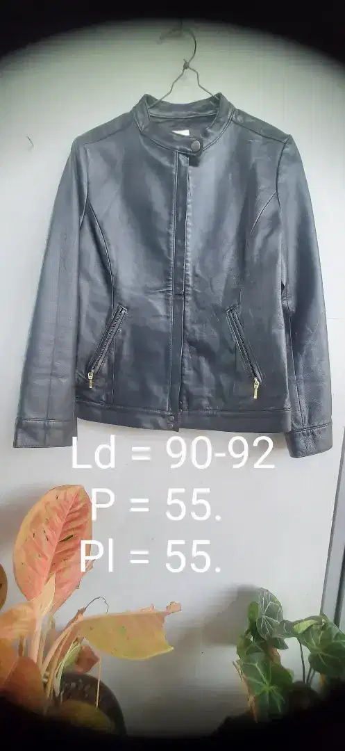 Jaket kulit asli