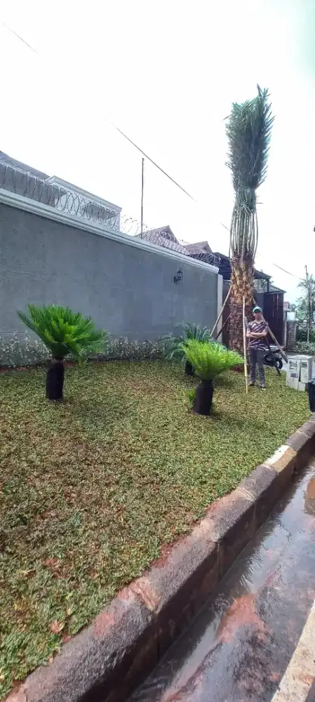 Jasa taman minimalis / jasa pembuatan taman minimalis