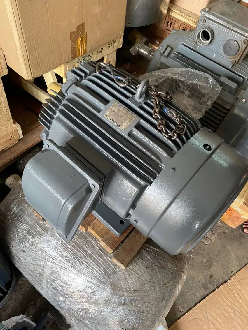 DINAMO TECO 40HP 30KW 4POLE RPM 1500 - ELEKTRO MOTOR PENGGERAK TECO