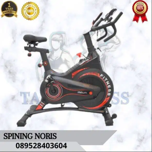sepeda statis ireborn noris