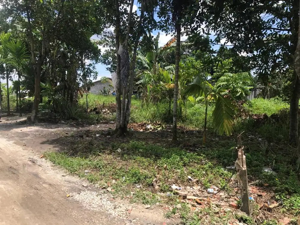 Dijual Tanah Lokasi Kubang Jaya Dekat Kebun Binatang Kasang Kulim