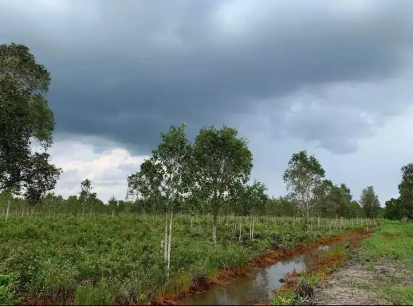 Dijual tanah siap bangun jalan tanah mas talang kelapa  Palembang