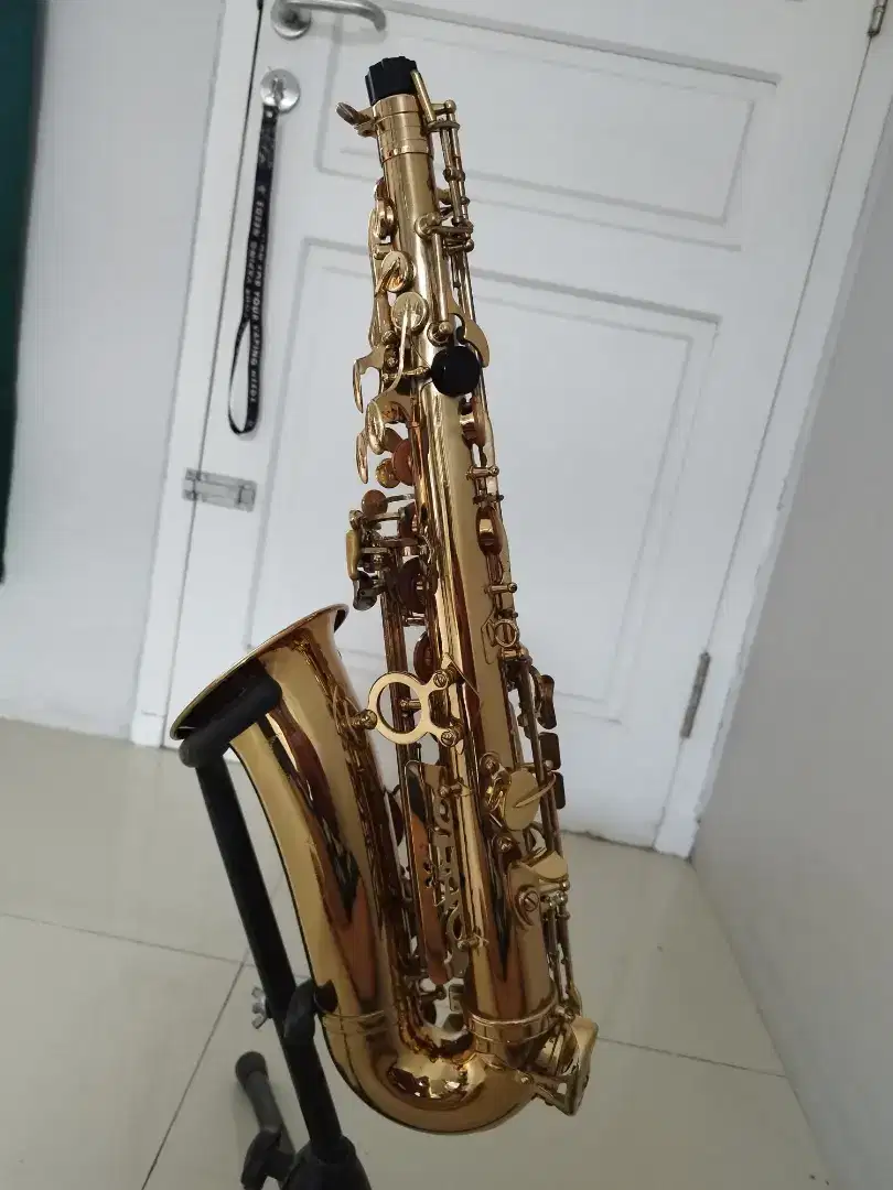 Saxophone Alto Paladin Gold + Gigbag Dr. Case lengkap dengan addons