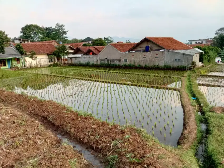 Tanah sawah 1, cocok untuk rumah/kolam