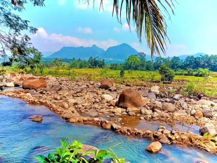 Tanah Kavling Desa Wisata Puncak 2 Bogor