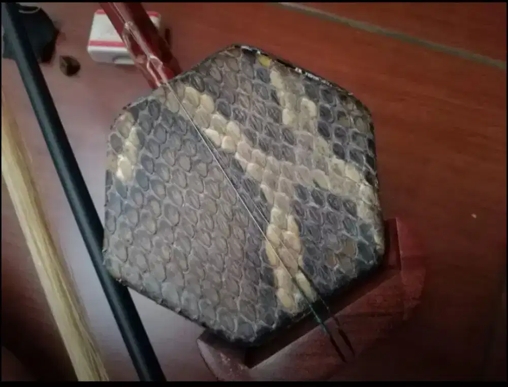 Biola erhu asli erhu biola asli erhu kayu merah alat musik gesek