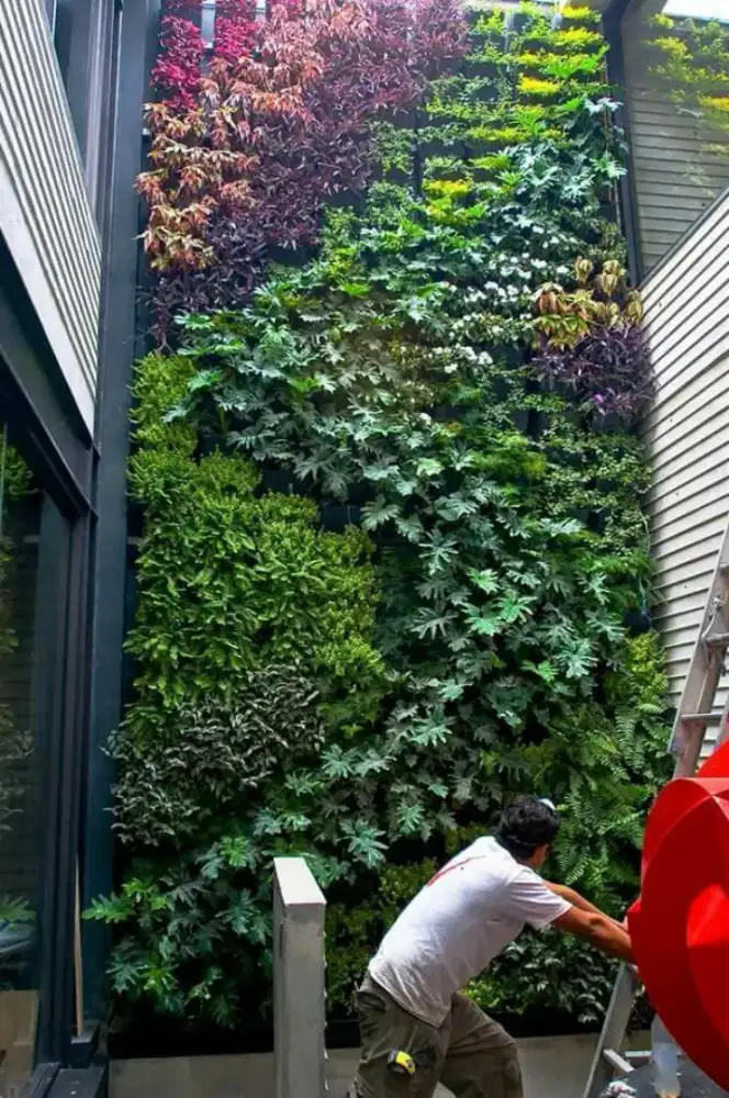 Vertical garden