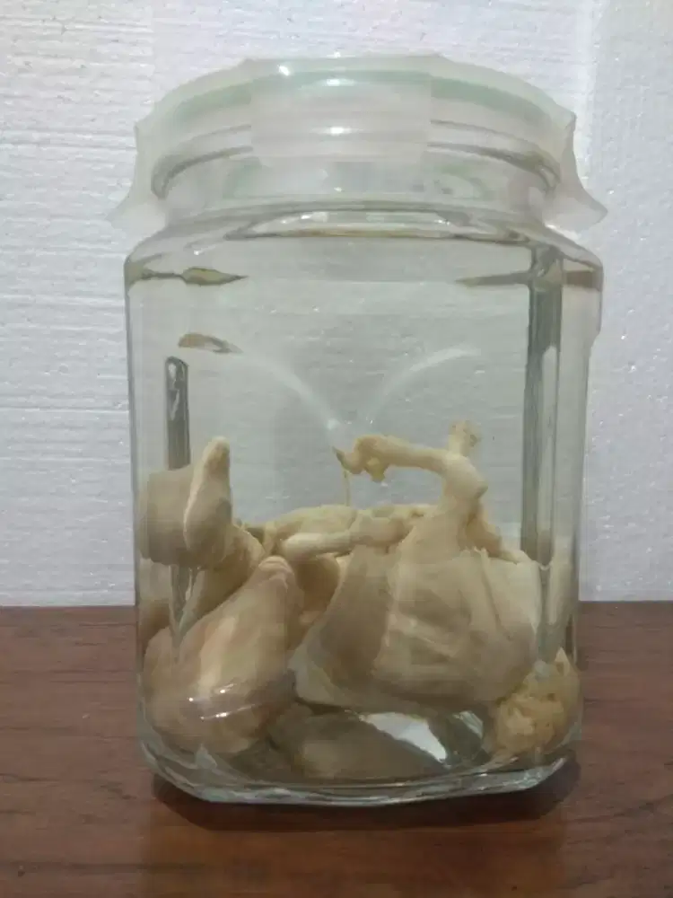 Jamu ramuan tiongkok