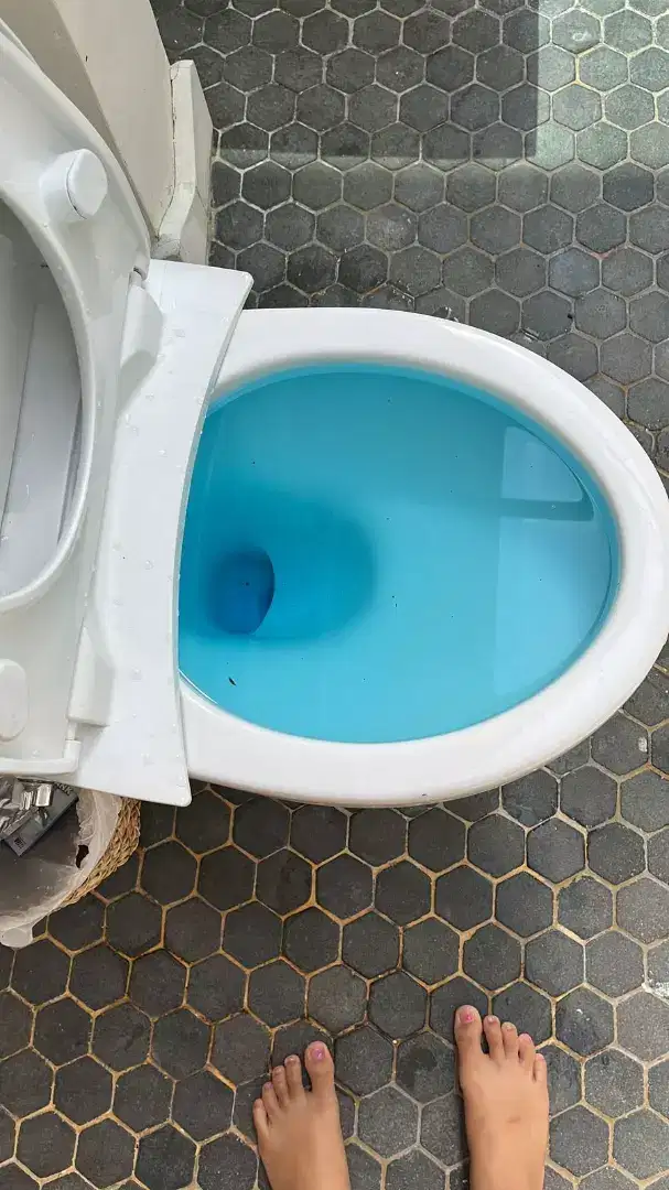 Jasa Sedot WC Mampet & Tukang Perbaikan Pipa Got Wastafel Buntu