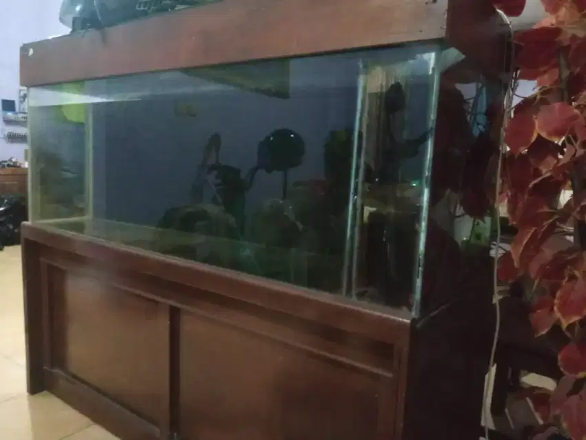 Dijual Aquarium tebal 10 mm +ukuran kaca 160 x 55 x65 cm.