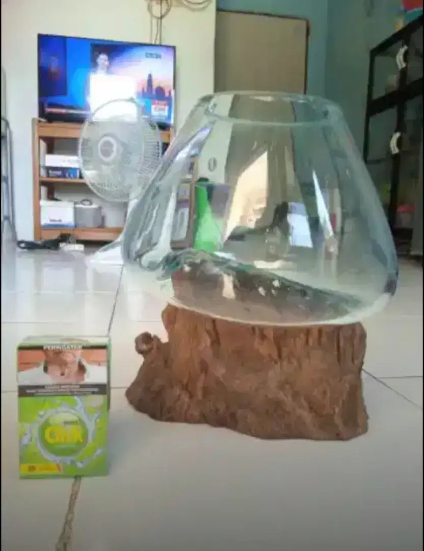 Aquarium mini kayu