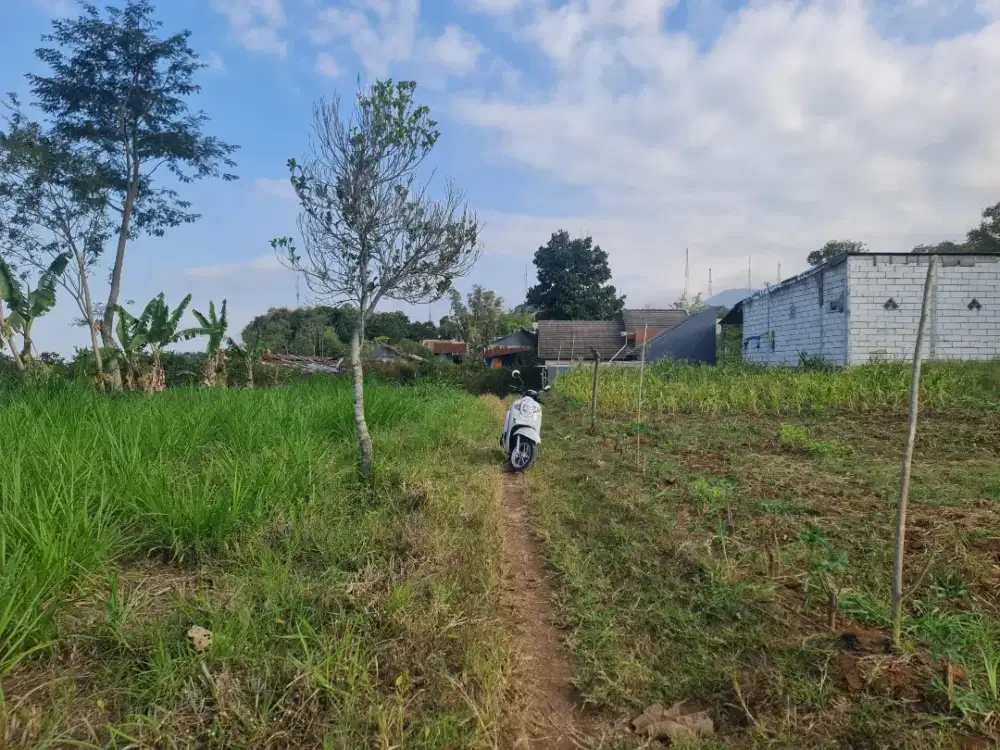 Tanah murah siap bangun