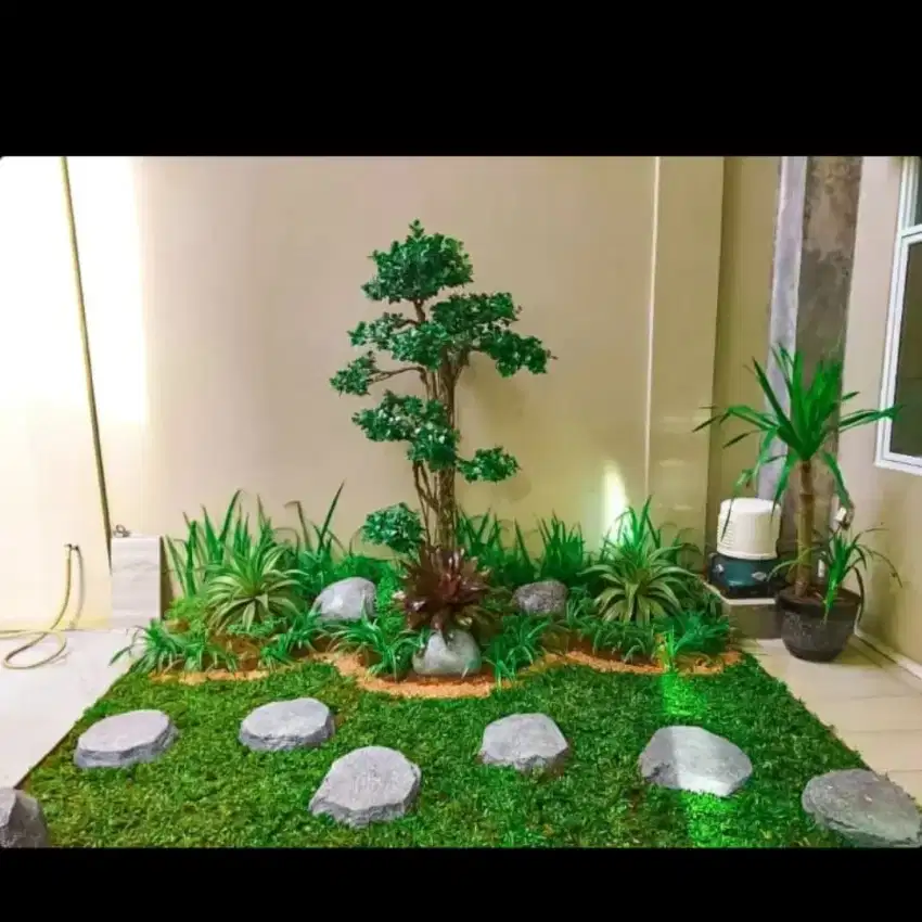 Jual rumput gajah mini,Peking, babat, plus tanam.