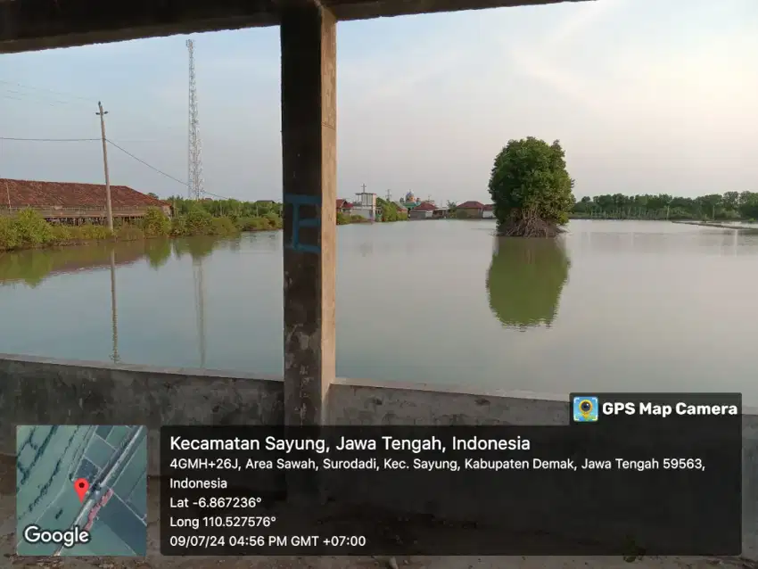 Tanah tambak udang paname 4 hektar (Nego)