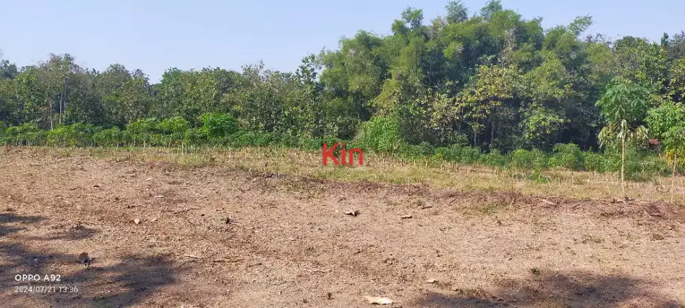 Jual tanah cocoknya buat makam luas 5000mtr harga 250rb/m nego