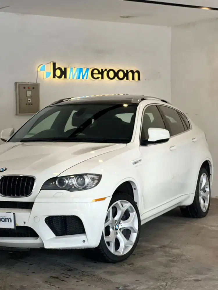 BMW X6 M E71 2011