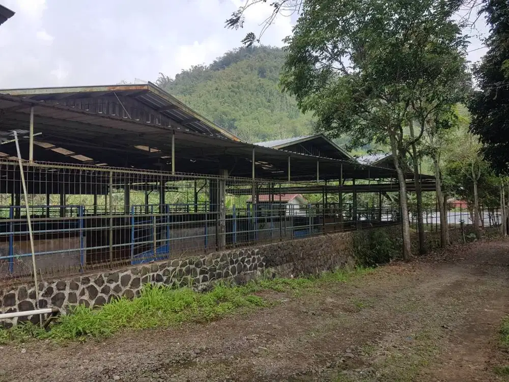 Dijual Tanah Ex Peternakan Sapi + 2 Unit Rumah