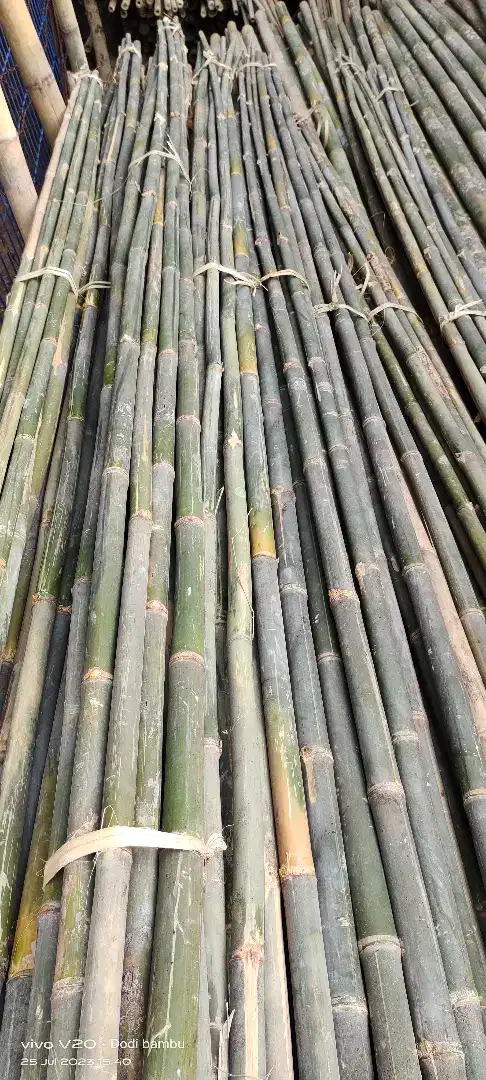 Jual bambu umbul umbul tihang bendera