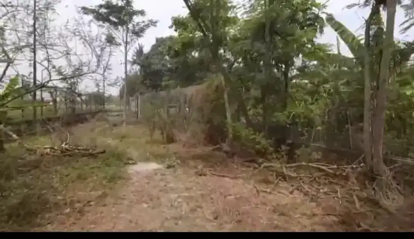 Di cepat tanah dan ijin peternakan di subang bisa tt kendraan