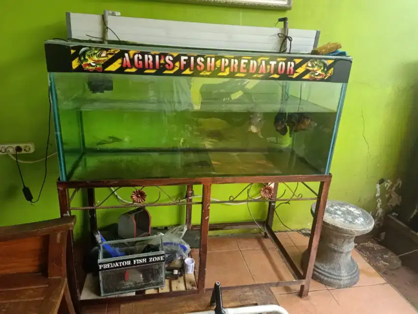 Aquarium dan ikan