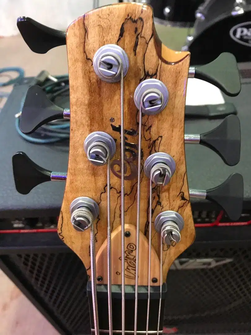 Bass Cort ISB 6 custom keren