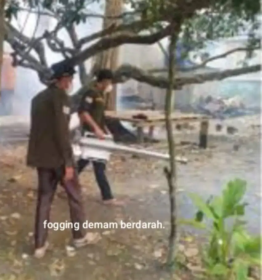 Jasa fogging DB dan anti rayap