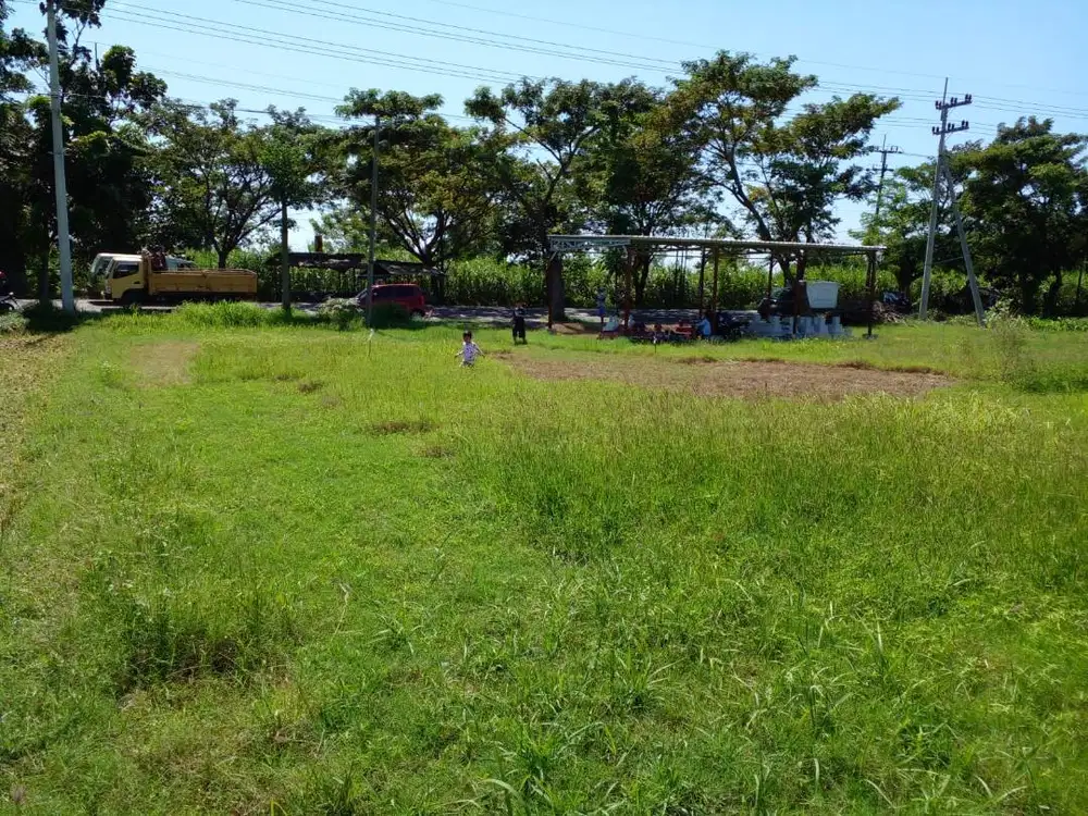DIJUAL TANAH STRATEGIS PANTURA SITUBONDO 1.177 m2