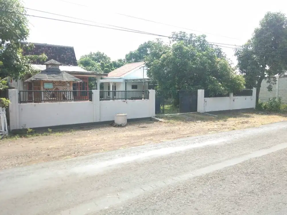 Dijual Tanah dan Rumah Kayu Murah & Strategis (SHM)