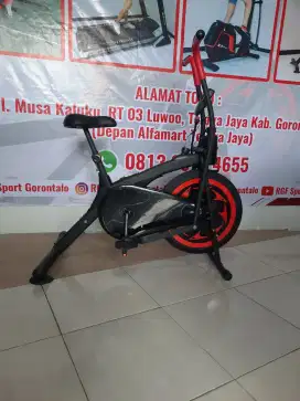 Sepeda statis platinum bike