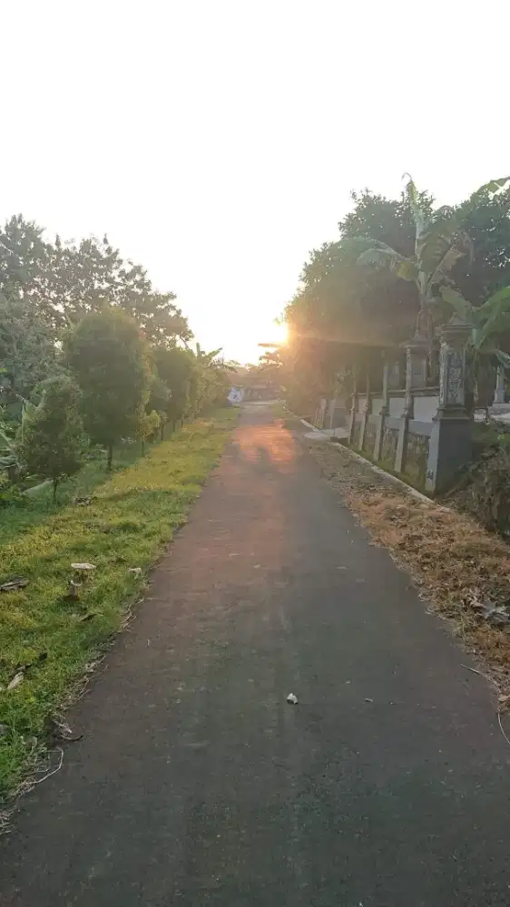 Murah! Tanah Luas 1.364m2 & Rumah Joglo Dekat Rencana Tol Sukoharjo